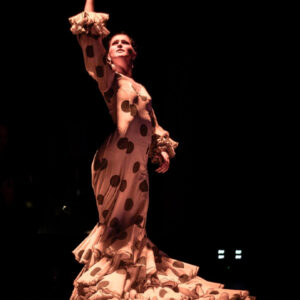 Imagen de la bailaora Marta Clemente